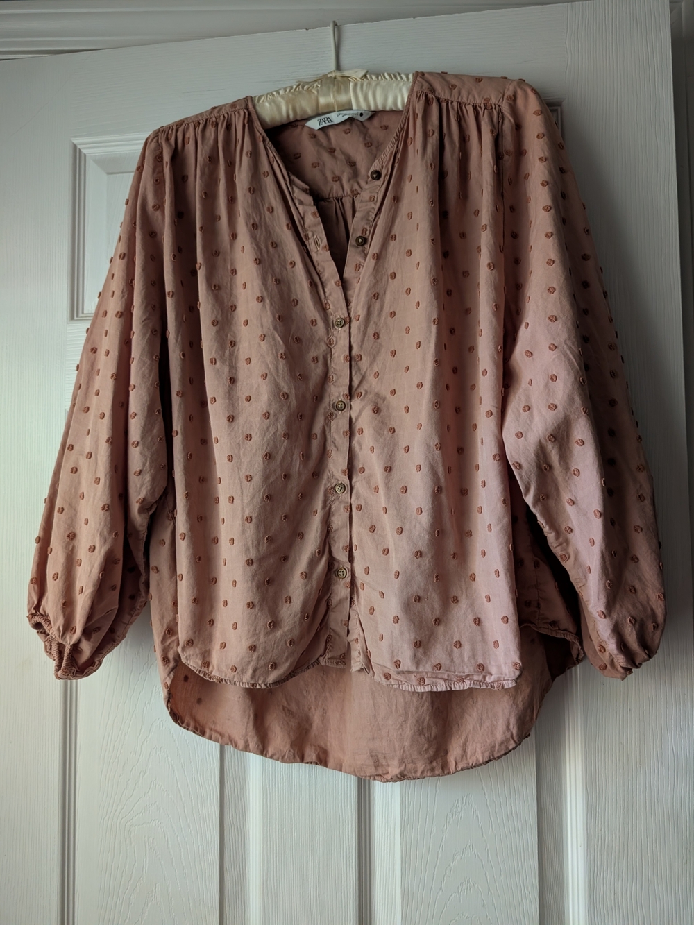 Zara Oversized Blouse